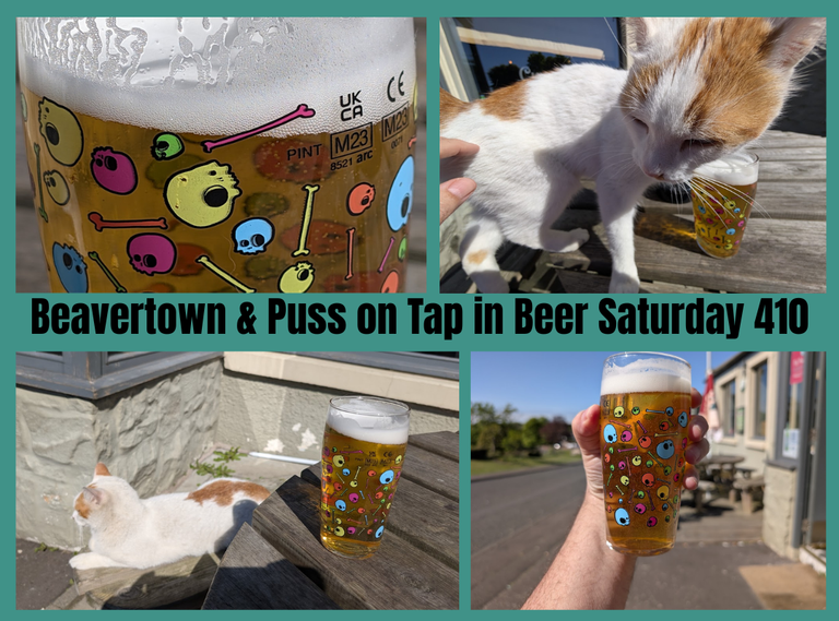 Beavertown and Puss on Tap in Beer Saturday 410