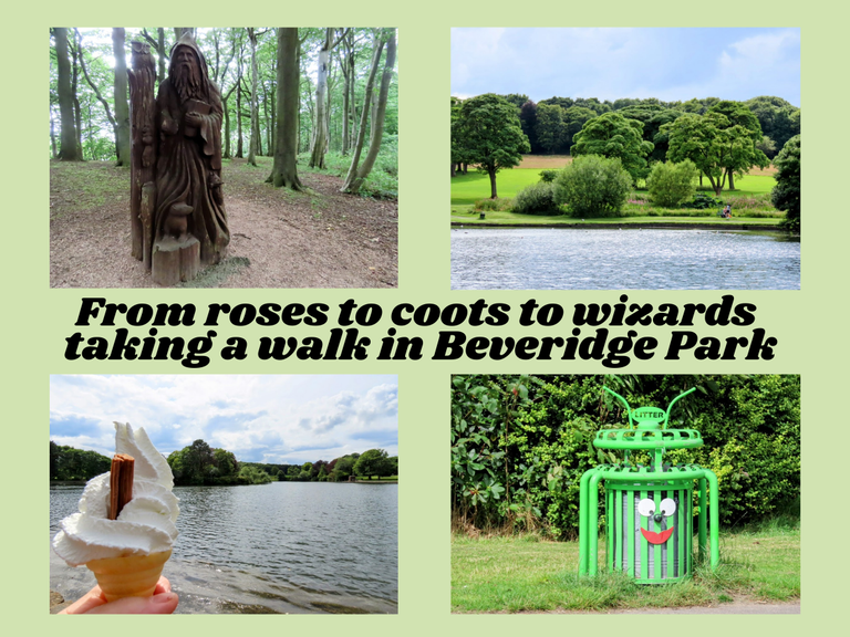 From roses to coots to wizards taking a walk in Beveridge Park.png