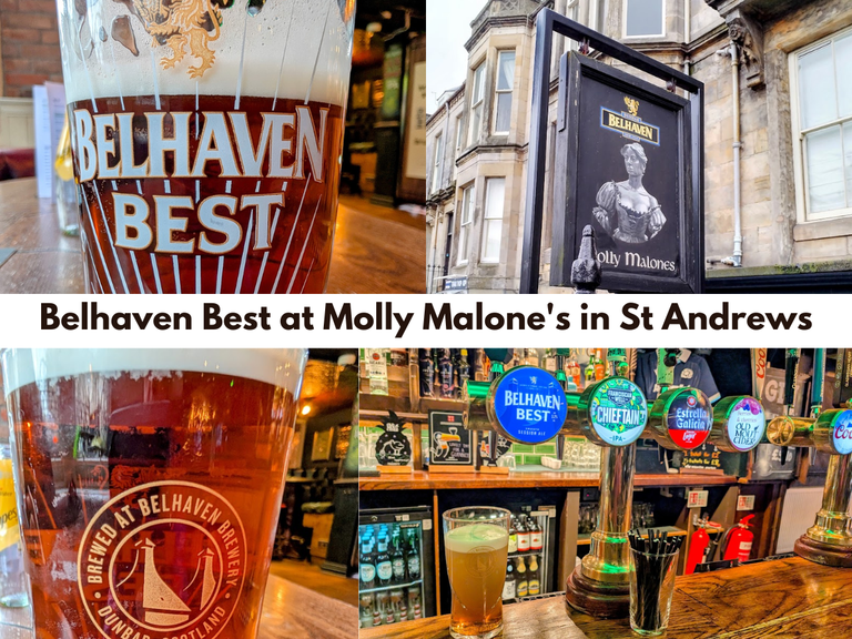 Belhaven Best at Molly Malone's in St Andrews