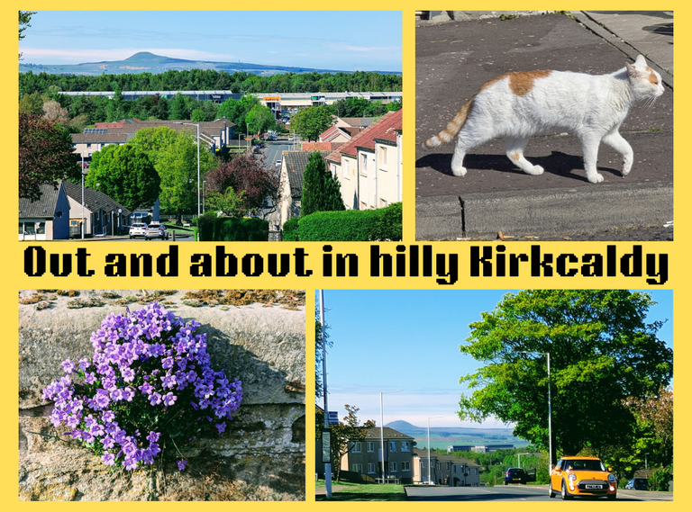 Out and about in hilly Kirkcaldy 🏴󠁧󠁢󠁳󠁣󠁴󠁿