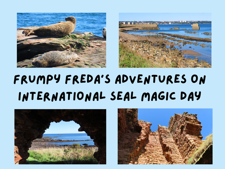 Frumpy Freda's adventures on International Seal Magic Day.png