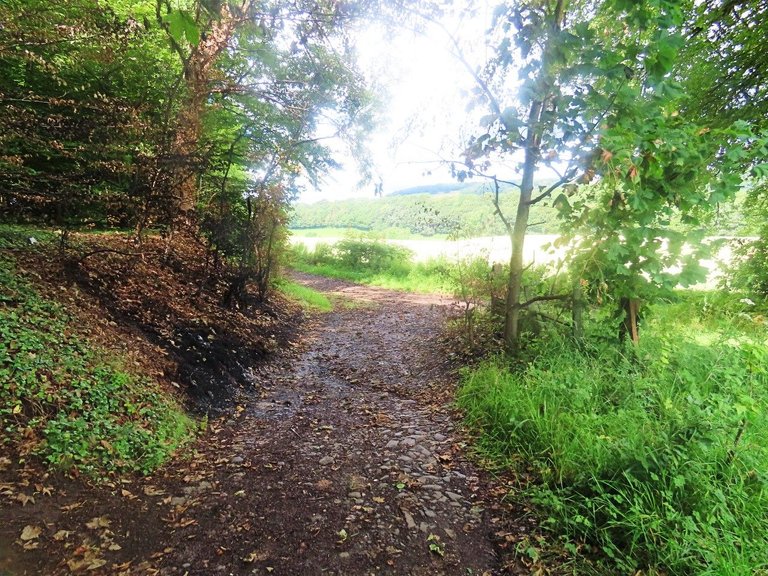 7803 12th July Walk to Balwearie Castle Decision path looking back to fake castle.jpg