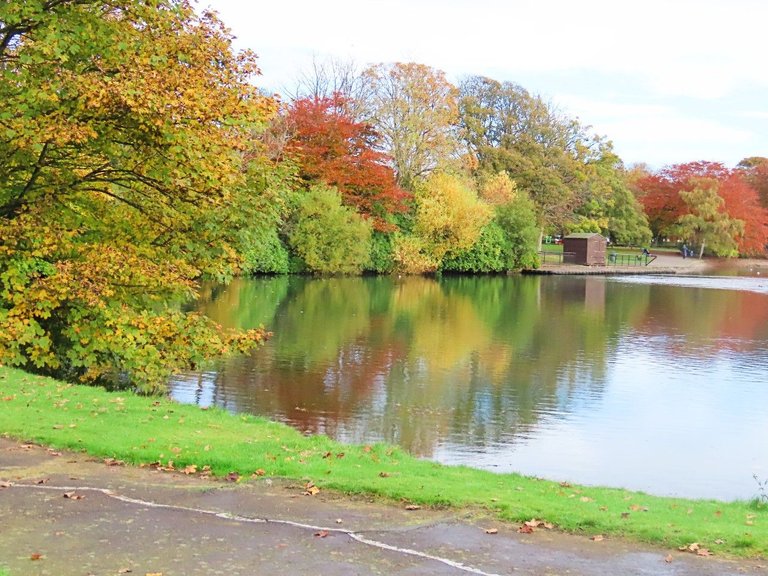 25oct2022ww7 park pond bottom trees .jpg