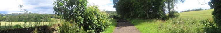 7783 12th July Walk to Balwearie Castle panaramic path and fields.jpg