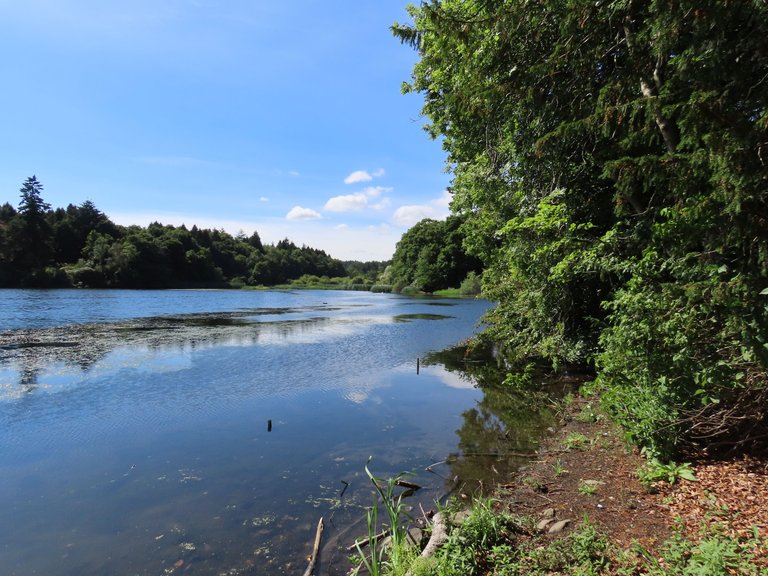 raith lake kirkcaldy 17aug2022.JPG