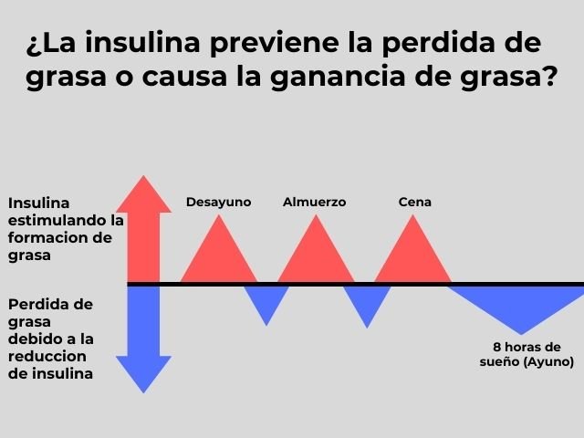 ¿Te gustaria saber cual es tu presupuesto calorico (3).jpg