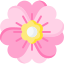 sakura (4).png