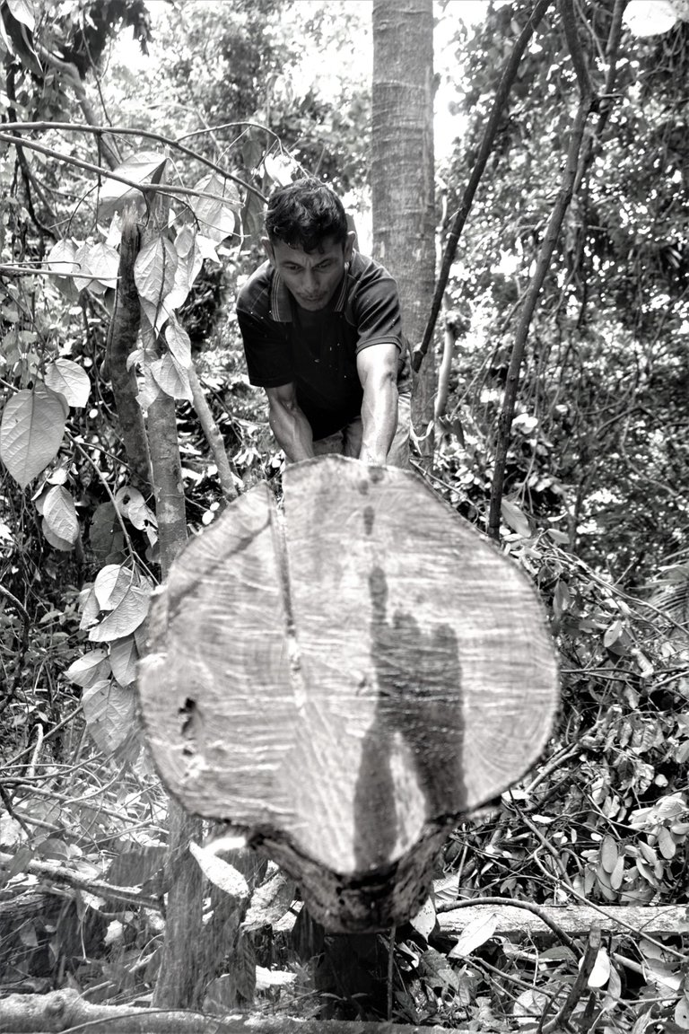 FFI01226.JPG