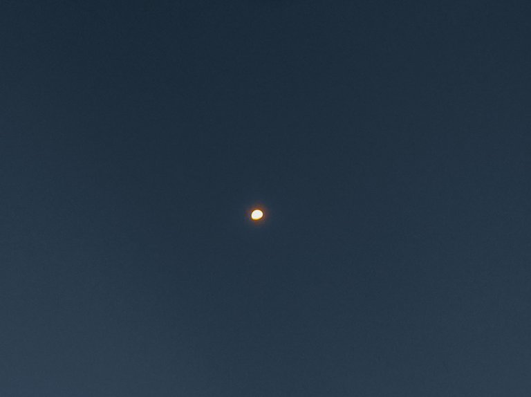 1706373219450.jpg