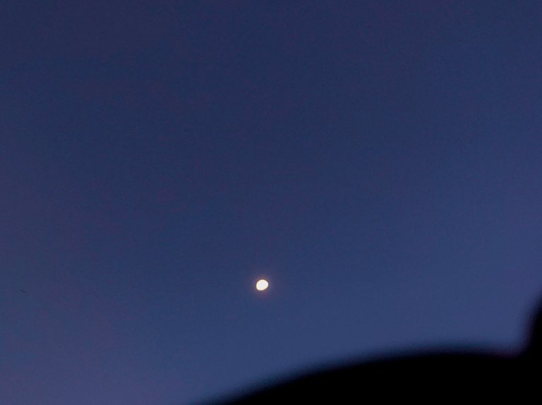 1706373219453.jpg