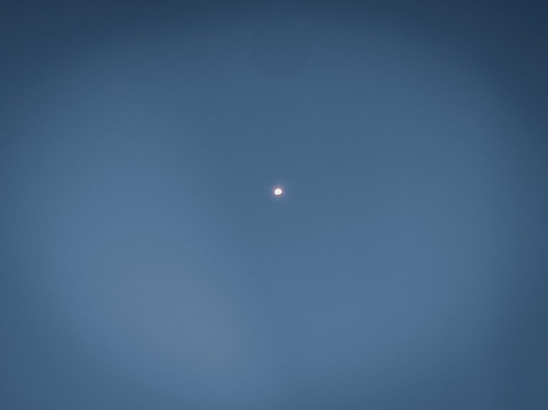 1706373219486.jpg