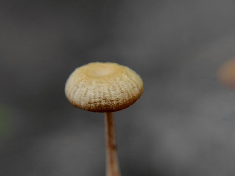1716878221689.jpg