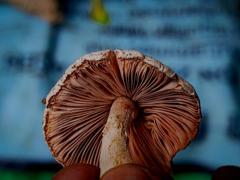 1719120373112.jpg
