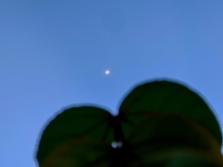 1706373219468.jpg