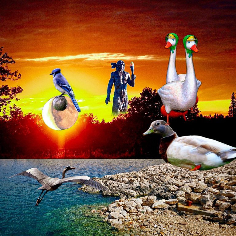 1691047540515.jpg