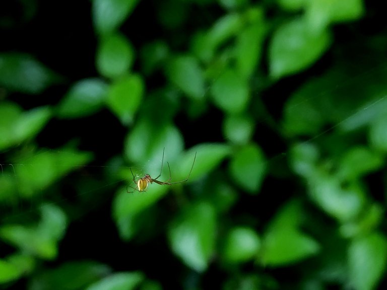 IMG_20250327_075954.jpg