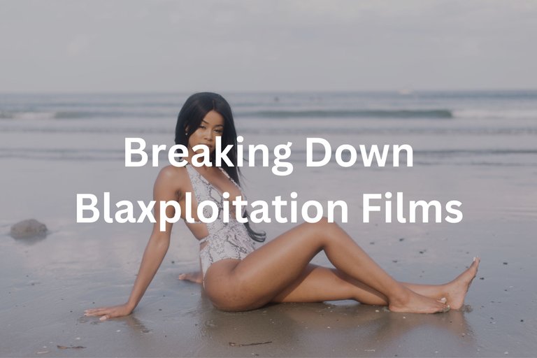 breaking down blaxploitation film.png