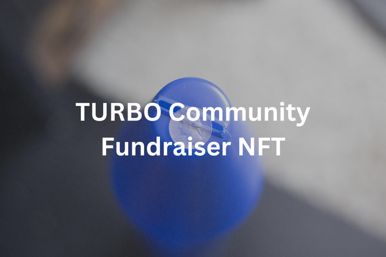 TURBO Community Fundraiser NFT.png