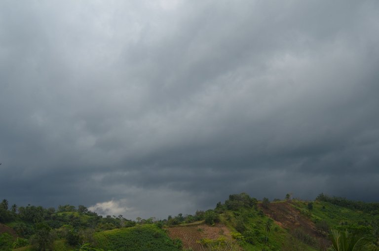 The Rain - by Jamaluddin-Lodin 7.JPG