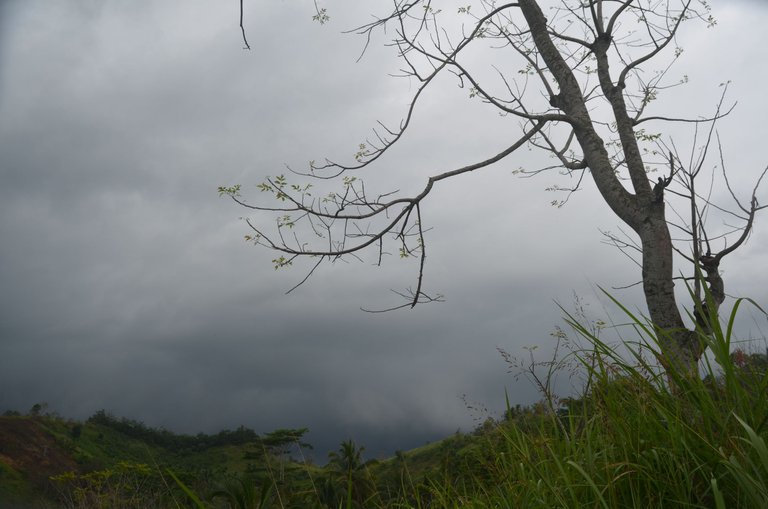 The Rain - by Jamaluddin-Lodin 8.JPG