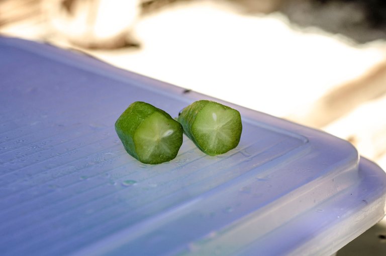 A Vegetable Starfruit-by Jamaluddin-Lodin LA 12.JPG