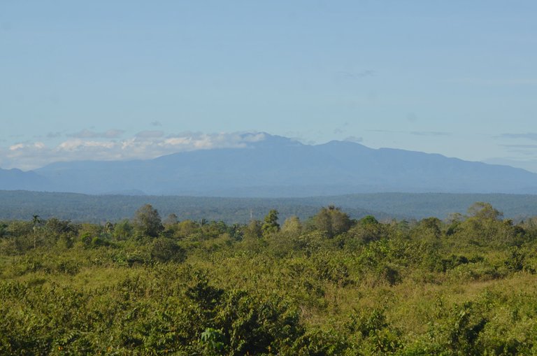 Mountains in North Aceh, Sumatra--Jamaluddin-Lodin 10.JPG