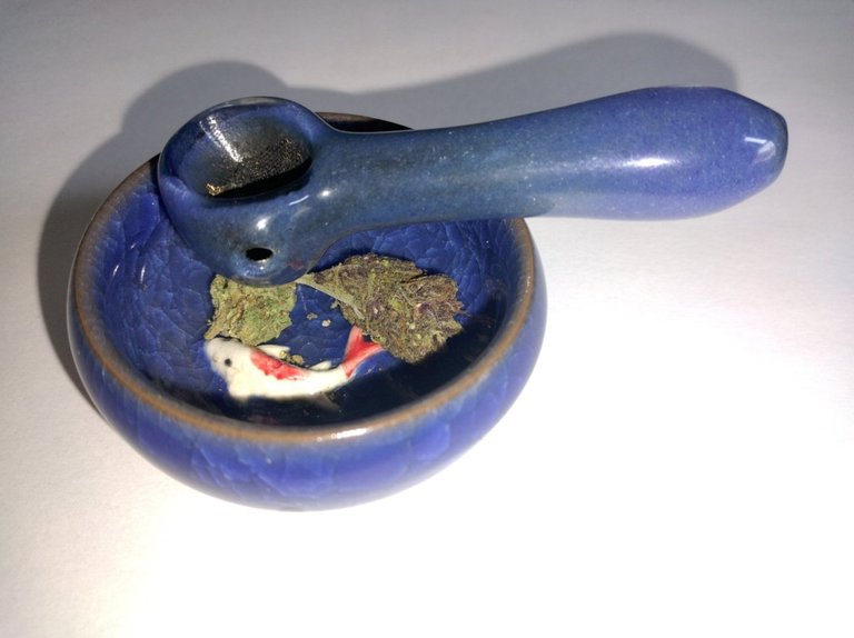 New bowl with a bud of Pluto and Forbidden Fruit.