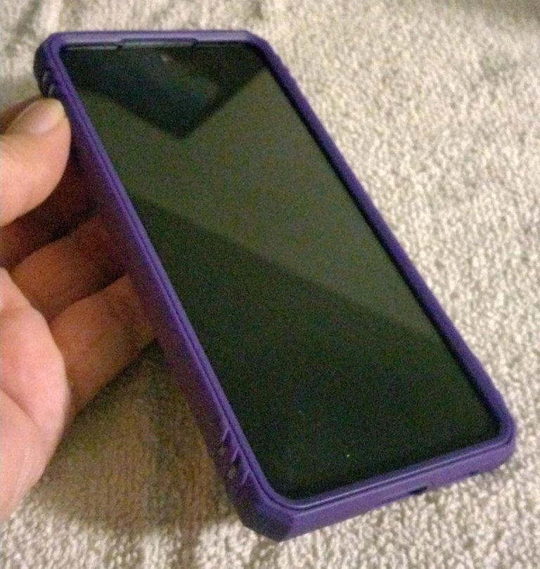 Went with the purple case. 