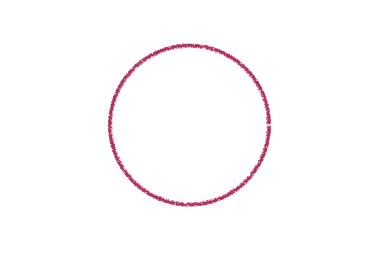 the-circle.webp