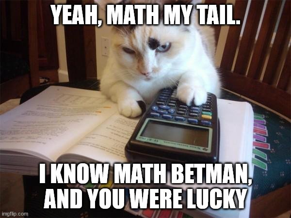 Math Cat4s84uc.jpg