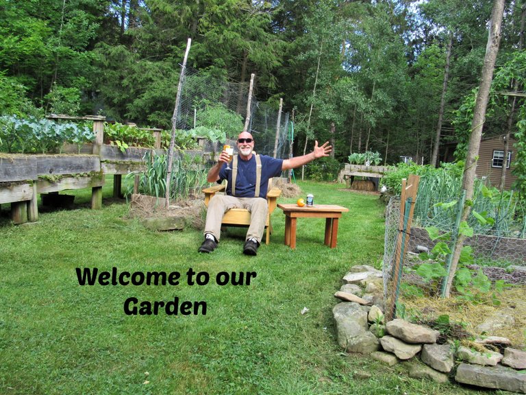 intro garden update 2.jpg