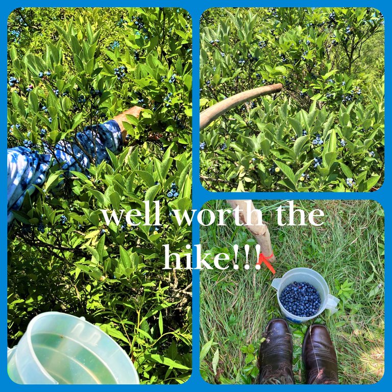 well worht the hike.png