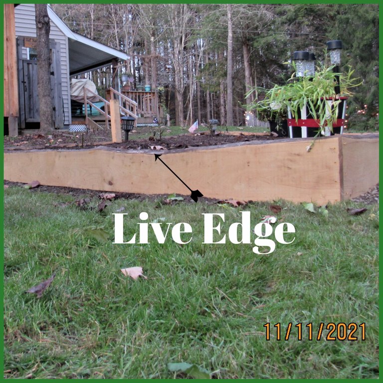 live edge.png