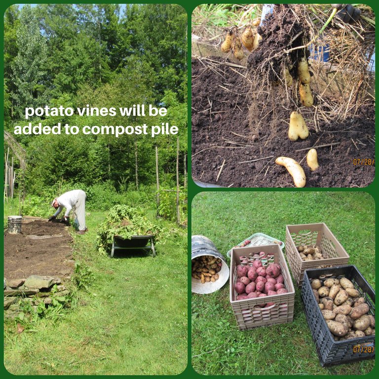 compost pile.png