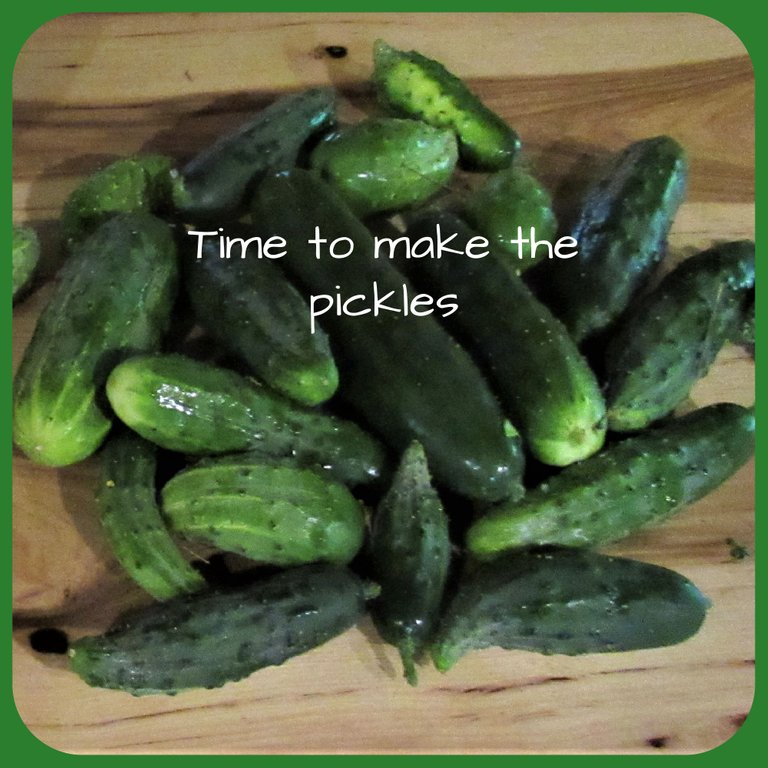 pickle time.png