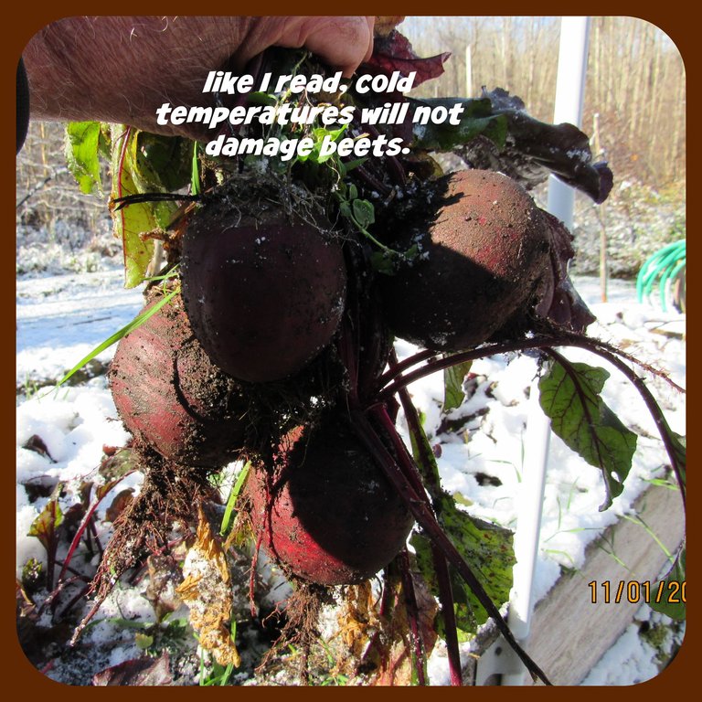 cold temps.png