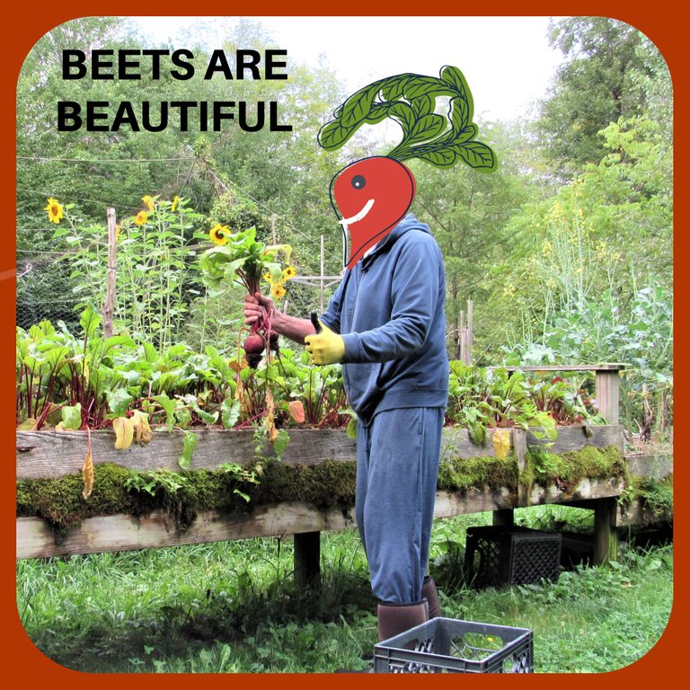 BEET HEAD.png