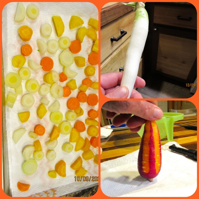 colored carrots.png