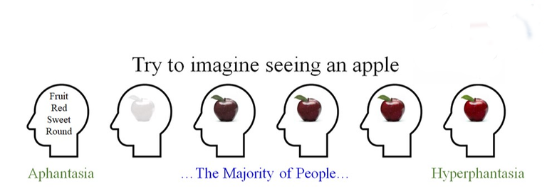 Aphantasia Chart