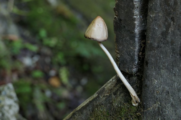 L1076123.JPG