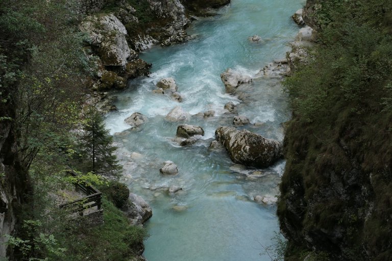L1076417.JPG