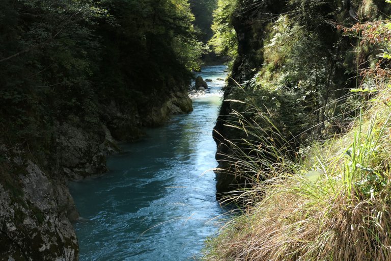 L1076134.JPG