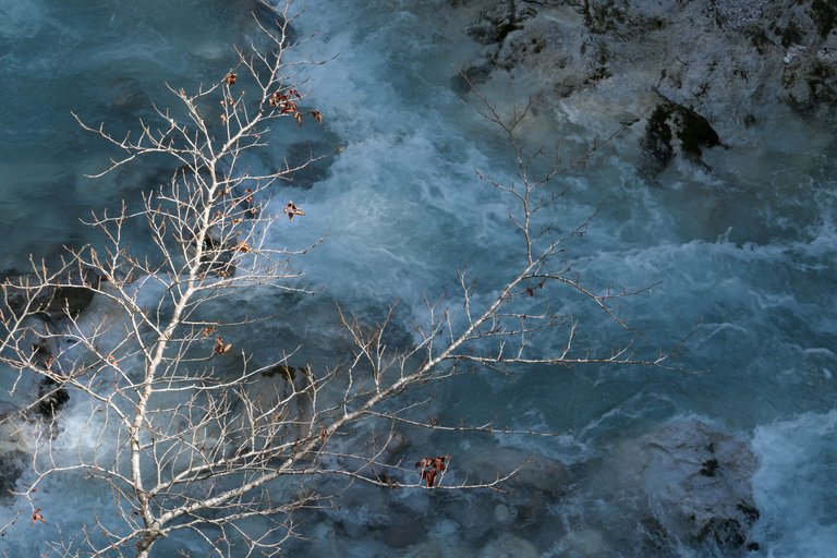 L1076140.JPG