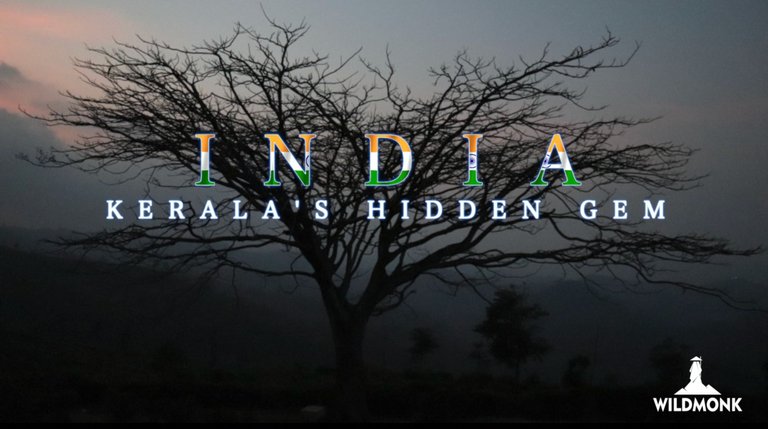 WildMonk's Travel Experience - Exploring Idukki | Kerala's Hidden Gem (Part 2).jpg