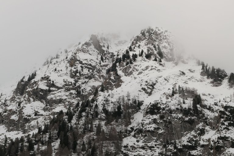 L1195936.JPG