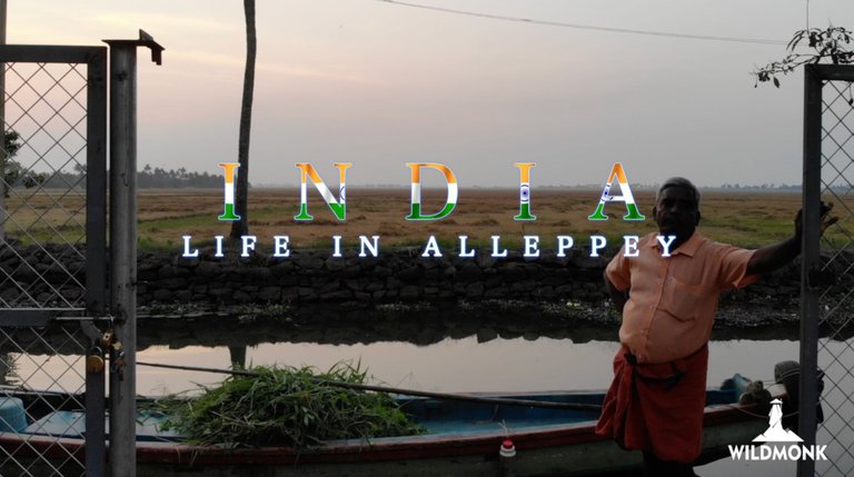 Life in Alleppey WildMonk.png