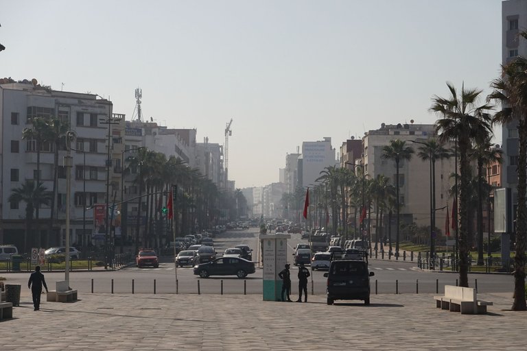 4856.jpg