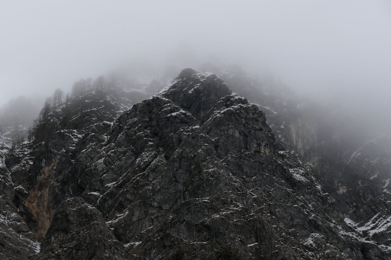 L1195829.JPG