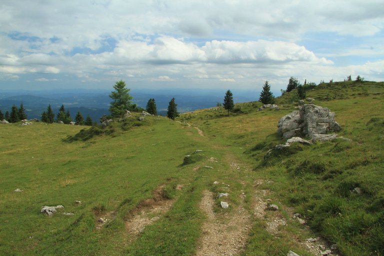 IMG_7030 - Steffen Wedler – Photographer, Nature kid, Wildlife, Explorer, Cinematography, video making, The Footprint Brand, Follow Us ❤️ – the way of the pallet Velika Planina Slovenia.JPG