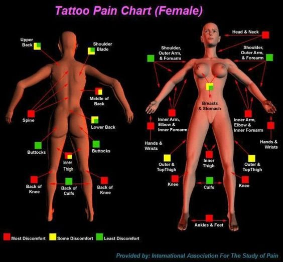 tattoo-pain-chart.jpg